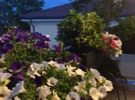 皮特斯多住宿加早餐旅馆