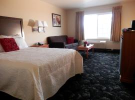 Grand View Inn & Suites，位于瓦西拉的酒店
