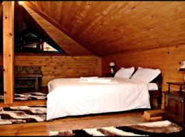 Guest House Aiva 2，位于莱什顿的酒店