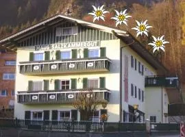 Haus - Salzkammergut