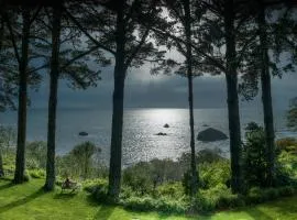 迷失鲸鱼住宿加早餐旅馆