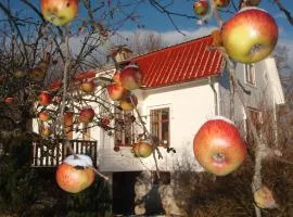 Mellangården i Äpplerum