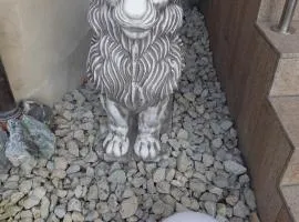 科罗纳克尔公寓