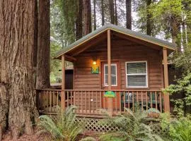 翡翠森林山林小屋
