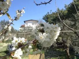 维亚可文图住宿加早餐旅馆