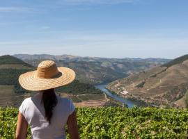 卡萨德卡萨尔的勒沃斯酒店，位于皮尼昂的酒店