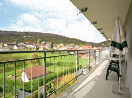 Spacious Apartment in Bollendorf in Nature Park，位于博伦多夫的别墅