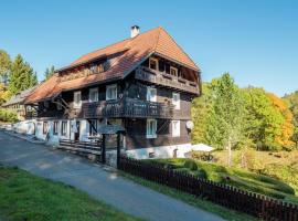 Cozy holiday apartment in the Black Forest，位于Dachsberg im Schwarzwald的度假短租房
