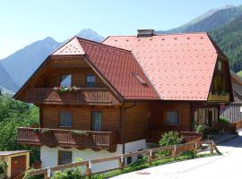 Appartement Grundner，位于Großsölk的酒店