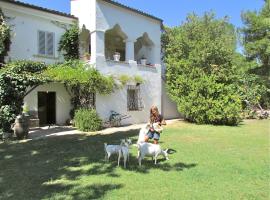 Agriturismo "Borgo Madonna degli Angeli" - charming cottages in the gardens !，位于Tocco da Casauria的低价酒店