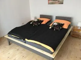 Ferienwohnung in Domnähe