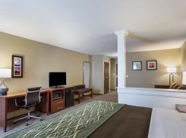 Comfort Inn & Suites Zachary，位于Zachary的酒店