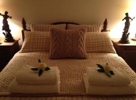 Snowdonia Snug - Studio Style Accommodation，位于多尔盖罗的酒店