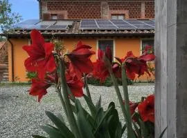 科尔特卡皮塔尼住宿加早餐旅馆