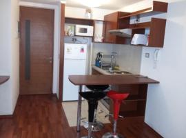 Carmen con Argomedo, PARKING por pagar，位于圣地亚哥的酒店