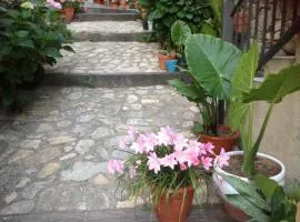 Apartamentos Anateresa