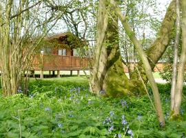 South Winchester Lodges，位于温彻斯特的山林小屋