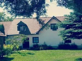 Casa Porumbacu 295