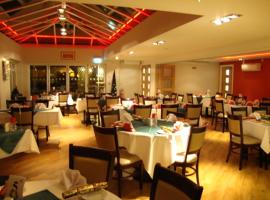 Little Downham Anchor，位于伊利的酒店