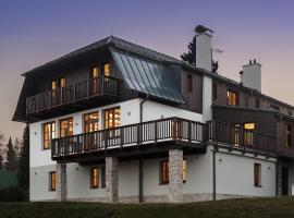 Aneta Hotel & Restaurant，位于维特科维采的酒店