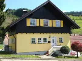 Ferienwohnung am Siegelbächle mit E-Bikes Vermietung