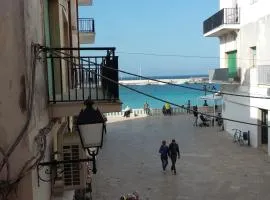 Casaulmi