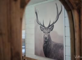 Chalet Le Grand Cerf，位于比林根的酒店