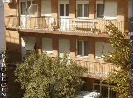 费鲁乐中心酒店