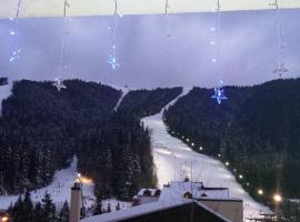 Snow Residence Azuga，位于阿祖加的酒店