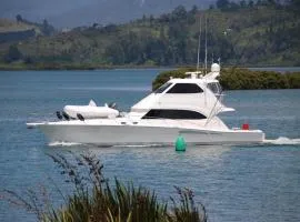 Tides Reach Whitianga