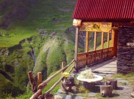 Tusheti Hotel Kvavlo，位于Kvavlo的酒店
