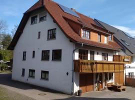 Gästehaus zur Mühle Dehm，位于腓特烈港的旅馆
