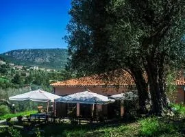 Agriturismo Murikè
