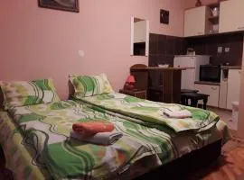 Guest House Dunavski Raj
