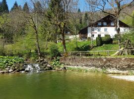 Auberge Le Moulin Du Plain，位于古莫华斯的酒店