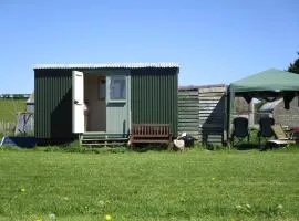 Bryn Parc