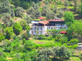 古尔旅馆，位于法拉尔雅的木屋