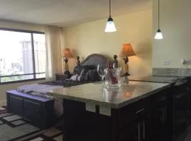 Waikiki Ala Moana Studio