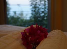 Lagounaris Beach Hotel，位于阿里克斯的酒店