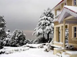 Tree of Life Grand Oak Manor Binsar