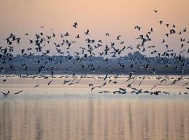 Las Banderas，位于Villafranca de los Caballeros的海滩酒店