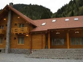 Pensiunea Izbucul Tauz