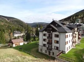 Apartmán Dalibor II č. 305
