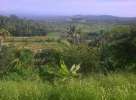 庞多阿兰布肯酒店