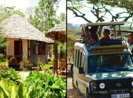 The Vijiji Center Lodge & Safari