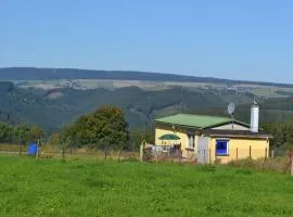 Auf der Weide