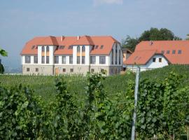 Weingut Taggenbrunn，位于格兰河畔圣法伊特的酒店