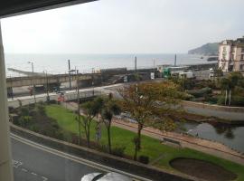 Dawlish Sea View Apartment，位于道利什的酒店