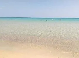 Le lagon de Hammamet