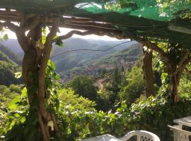 Hotel Ristorante Tipico Terme，位于皮尼亚的酒店